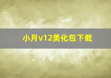 小月v12美化包下载