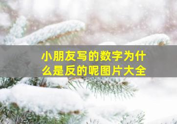 小朋友写的数字为什么是反的呢图片大全