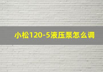 小松120-5液压泵怎么调