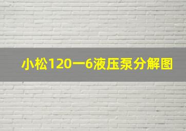 小松120一6液压泵分解图