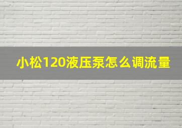 小松120液压泵怎么调流量