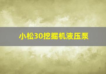 小松30挖掘机液压泵