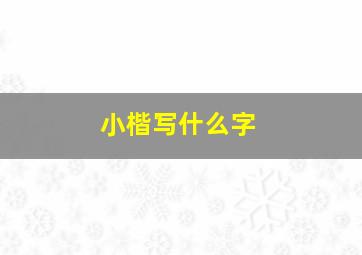 小楷写什么字