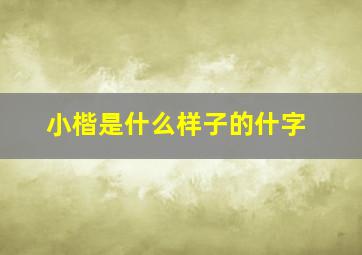 小楷是什么样子的什字