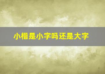 小楷是小字吗还是大字