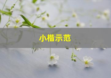 小楷示范