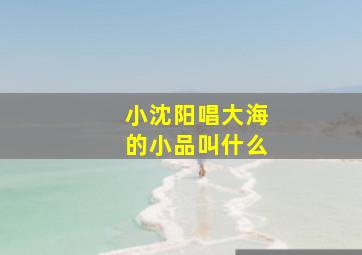 小沈阳唱大海的小品叫什么