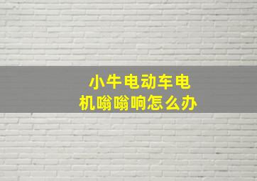 小牛电动车电机嗡嗡响怎么办