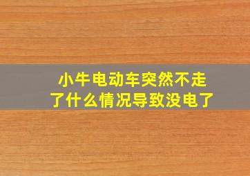 小牛电动车突然不走了什么情况导致没电了