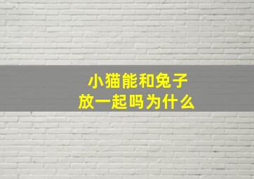 小猫能和兔子放一起吗为什么