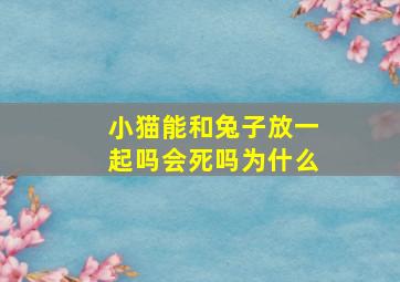 小猫能和兔子放一起吗会死吗为什么