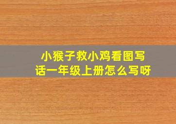 小猴子救小鸡看图写话一年级上册怎么写呀