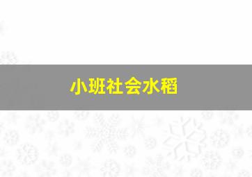 小班社会水稻