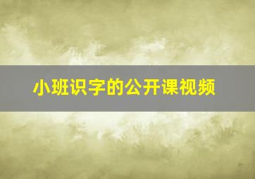 小班识字的公开课视频