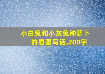 小白兔和小灰兔种萝卜的看图写话,200字