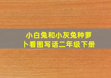 小白兔和小灰兔种萝卜看图写话二年级下册