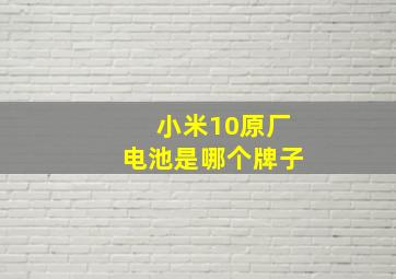 小米10原厂电池是哪个牌子