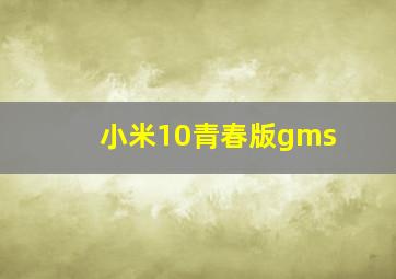 小米10青春版gms