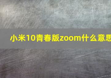 小米10青春版zoom什么意思