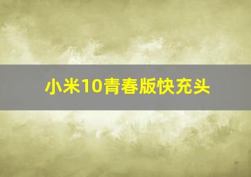 小米10青春版快充头