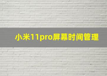 小米11pro屏幕时间管理