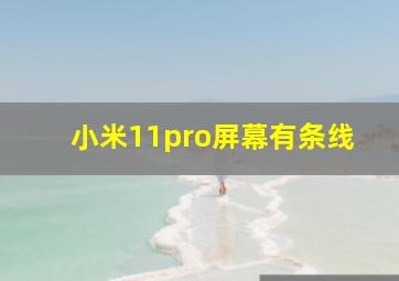 小米11pro屏幕有条线