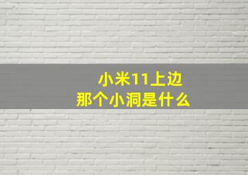 小米11上边那个小洞是什么