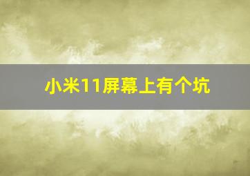 小米11屏幕上有个坑