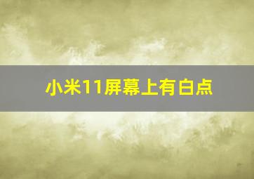 小米11屏幕上有白点