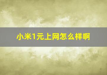 小米1元上网怎么样啊