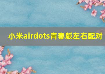 小米airdots青春版左右配对