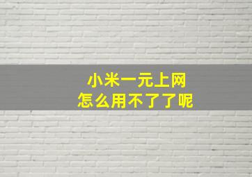 小米一元上网怎么用不了了呢