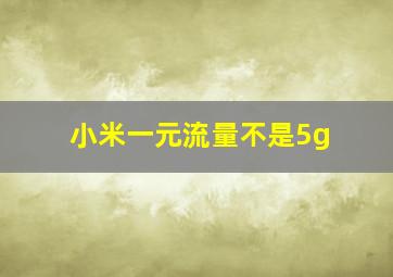 小米一元流量不是5g