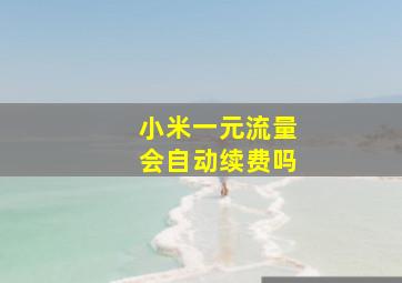 小米一元流量会自动续费吗