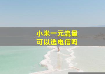 小米一元流量可以选电信吗