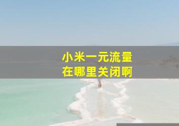 小米一元流量在哪里关闭啊