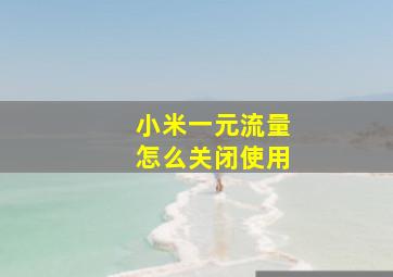 小米一元流量怎么关闭使用