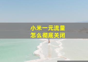 小米一元流量怎么彻底关闭