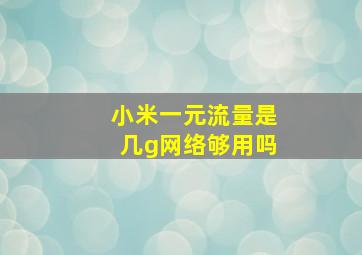 小米一元流量是几g网络够用吗