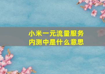 小米一元流量服务内测中是什么意思