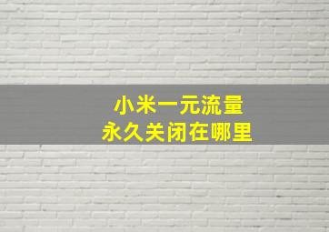 小米一元流量永久关闭在哪里