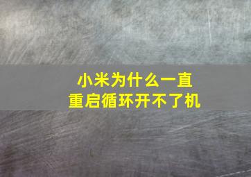 小米为什么一直重启循环开不了机