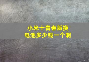 小米十青春版换电池多少钱一个啊