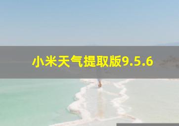 小米天气提取版9.5.6