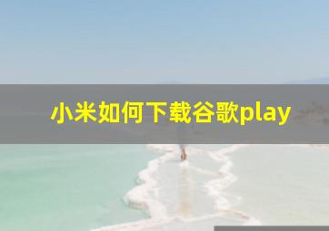 小米如何下载谷歌play