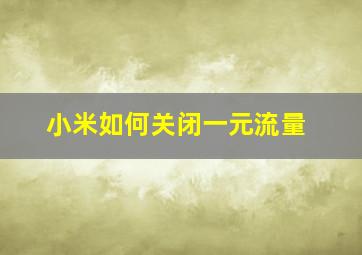 小米如何关闭一元流量