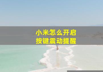 小米怎么开启按键震动提醒