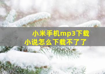 小米手机mp3下载小说怎么下载不了了