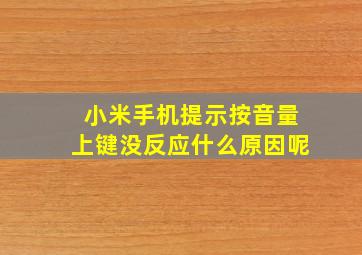 小米手机提示按音量上键没反应什么原因呢