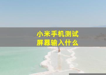 小米手机测试屏幕输入什么